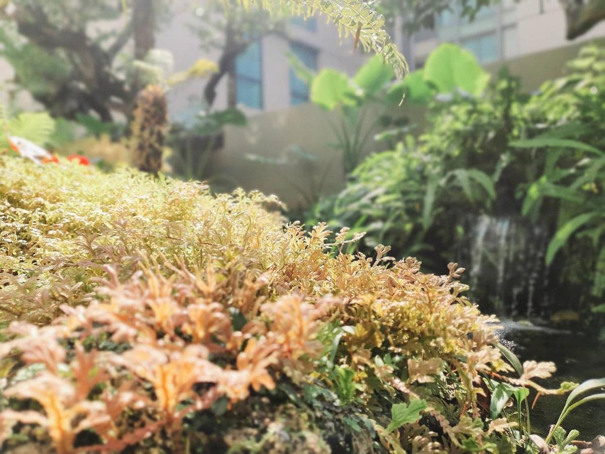 Ana Park Chiang Mai Hotel Exterior foto